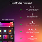 Philips Hue Play HDMI Sync Box 8K, 1-Pack