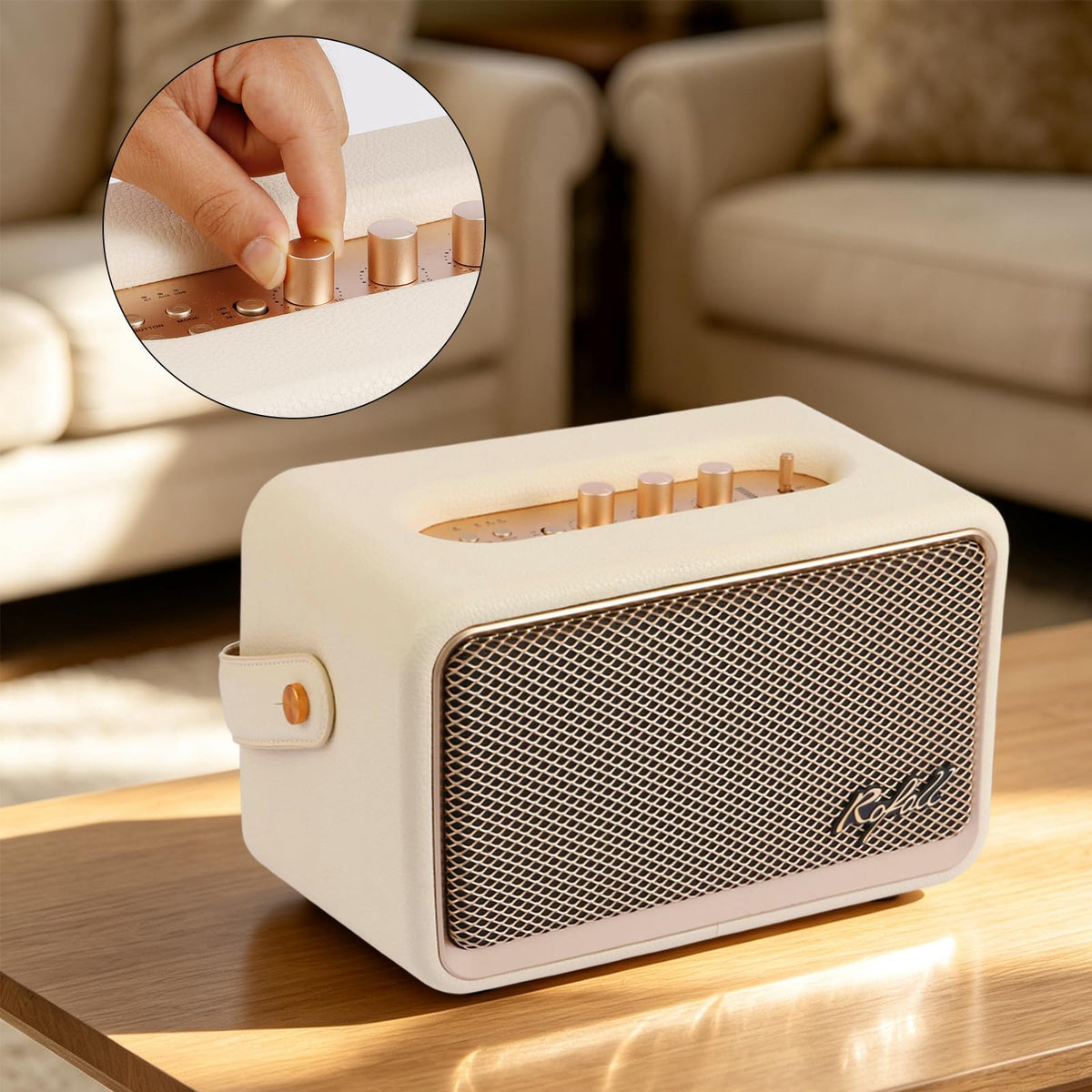 Home Bluetooth Speaker, Loud Stereo Sound with Bass and Treble Controls