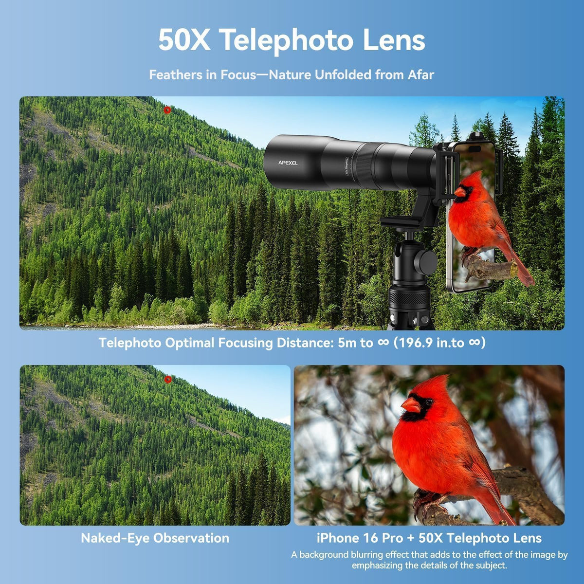 APEXEL 50x High-Definition Telephoto Lens for iPhone & Android – for Wildlife, Moon, Landscapes & Target Viewing – Includes Universal Phone Clip & Tripod