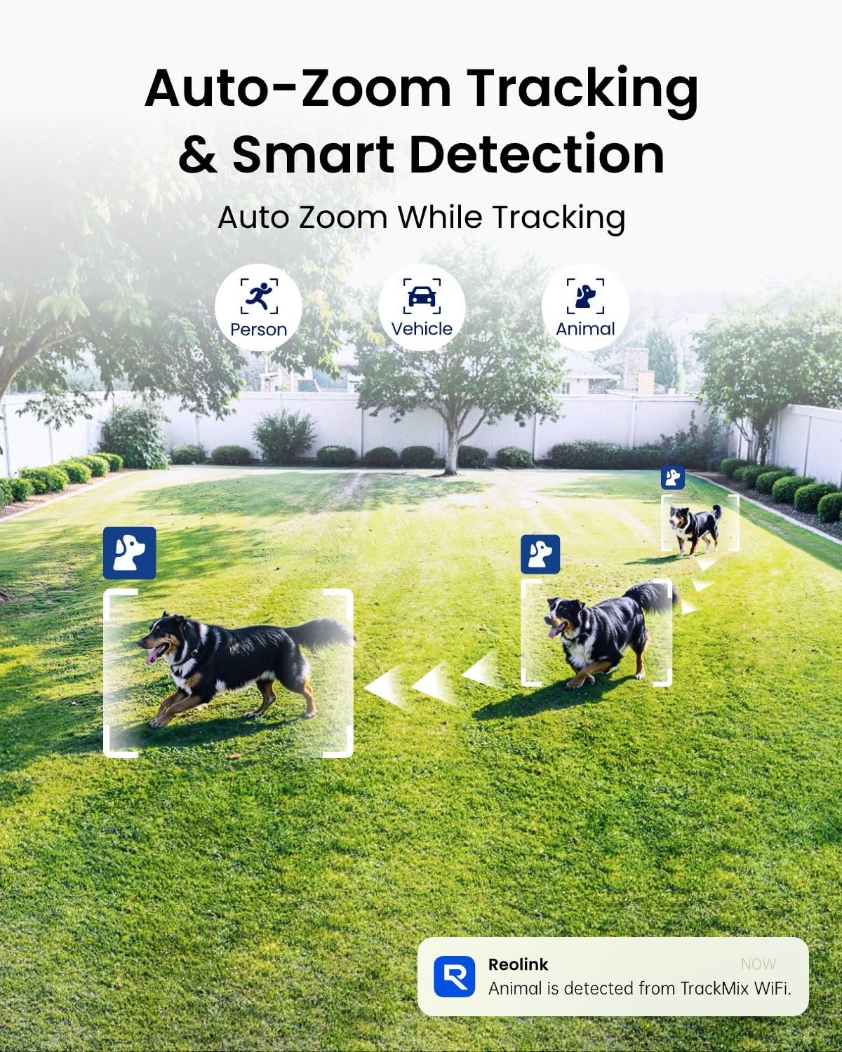 REOLINK 4K Wired WiFi Outdoor Camera, 8MP Dual-Lens PTZ Security Camera