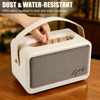 Home Bluetooth Speaker, Loud Stereo Sound with Bass and Treble Controls