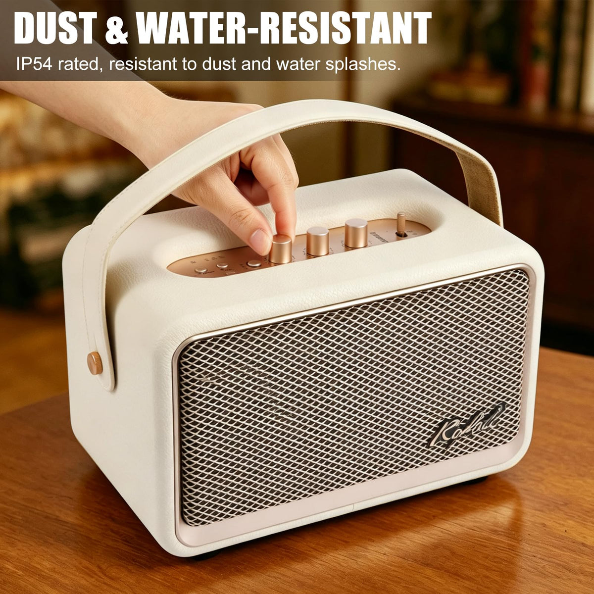 Home Bluetooth Speaker, Loud Stereo Sound with Bass and Treble Controls